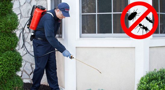 Kaman Gümüşkurt İlaçlama böcek ilaçlama ve haşere kontrolü — ilaclama-tr.com